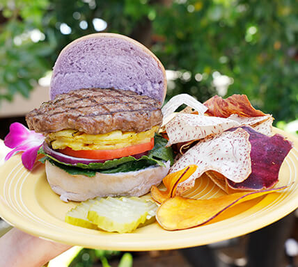 フラバーガービュッフェランチ イベント フラバーガービュッフェランチ イベント